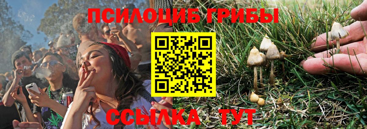 Южноуральск  Галлюциногенные грибы мицелий  Галлюциногенные грибы Cubensis  Вход с VPN 